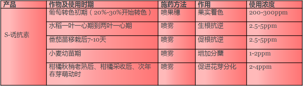 澳门精准24码