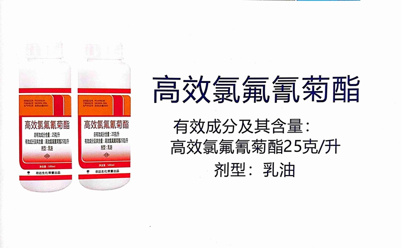 澳门精准24码