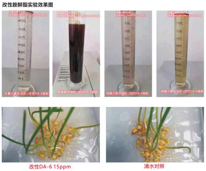 澳门精准24码