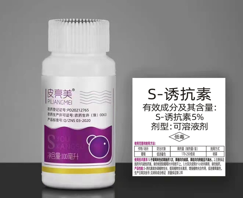 澳门精准24码