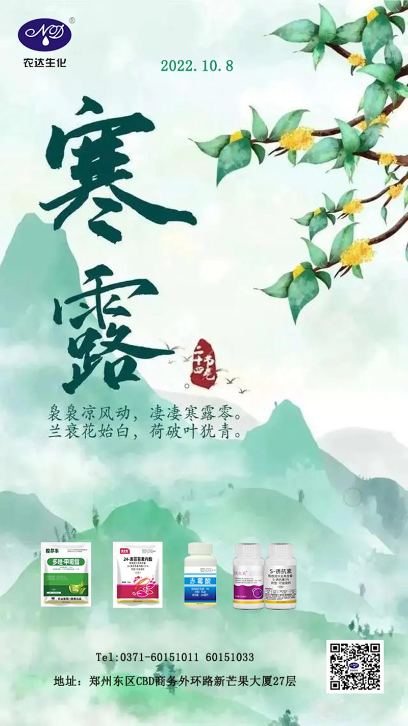 澳门精准24码