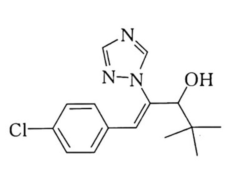 澳门精准24码