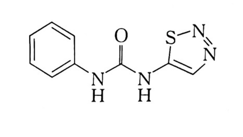 澳门精准24码