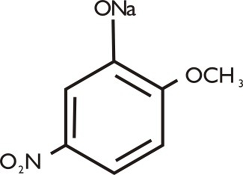 澳门精准24码