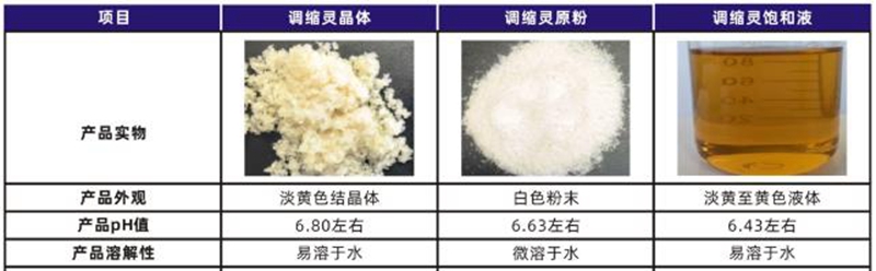 澳门精准24码