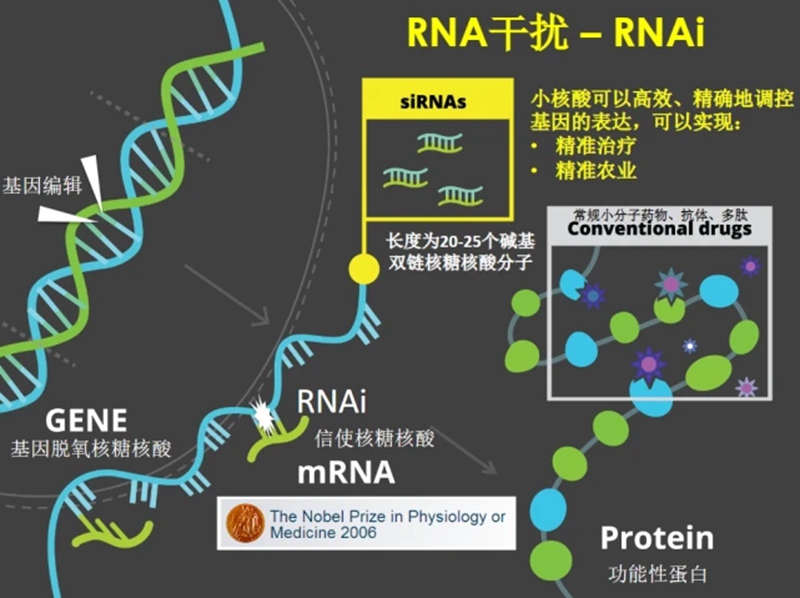 澳门精准24码