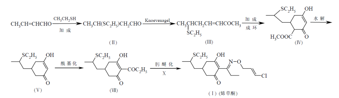 澳门精准24码