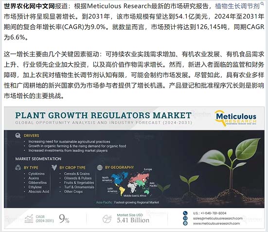 澳门精准24码