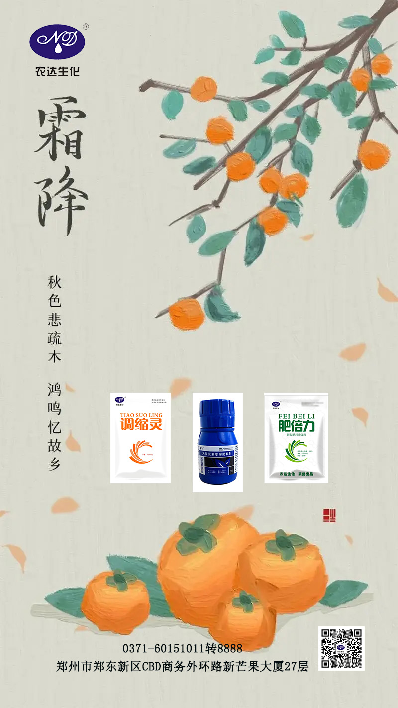 澳门精准24码