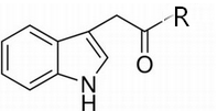 澳门精准24码