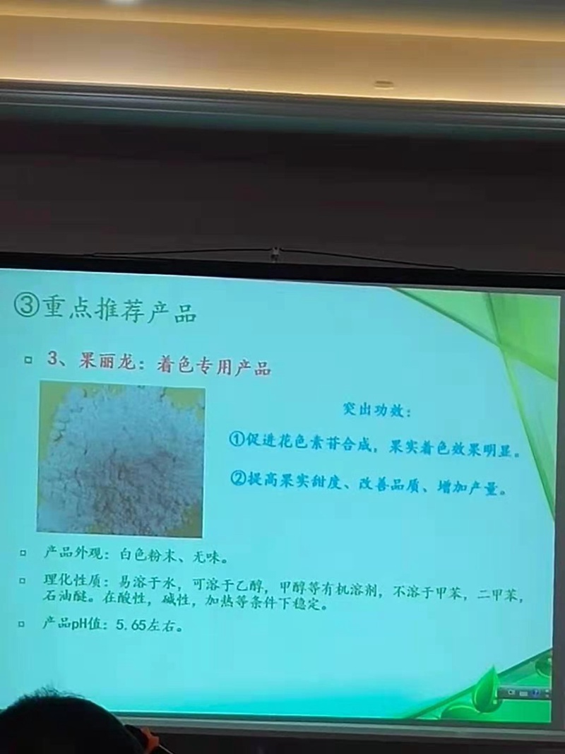 澳门精准24码