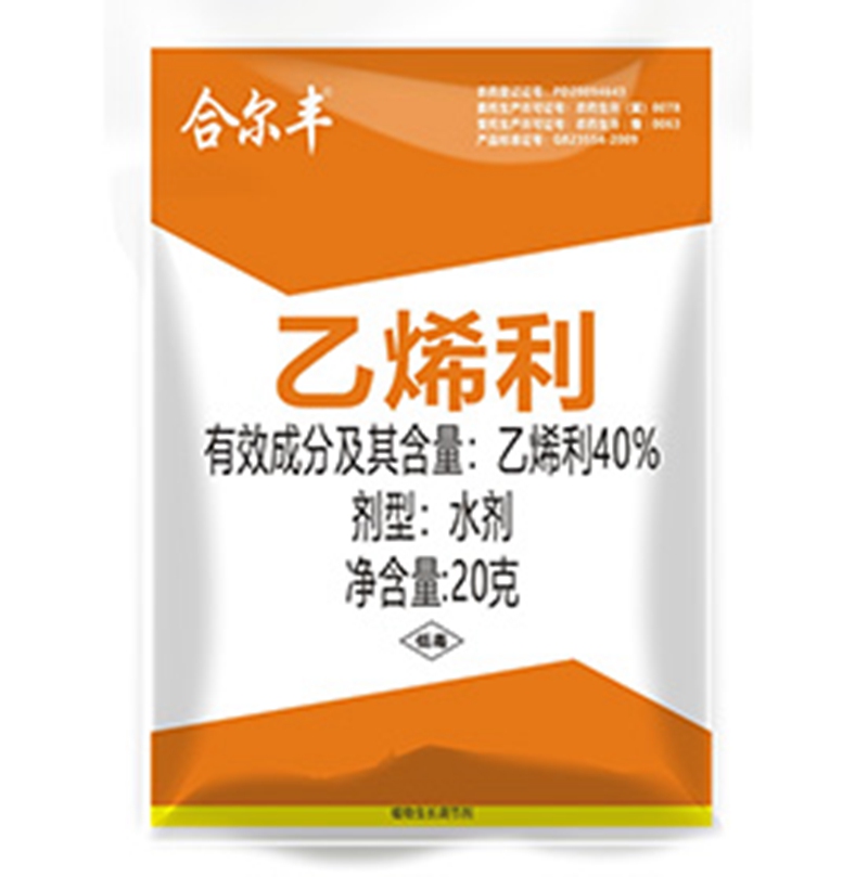 澳门精准24码