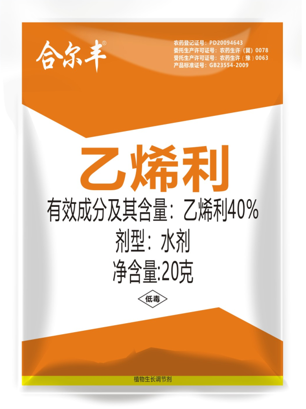 澳门精准24码